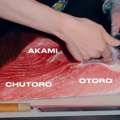 Otoro-Chutoro-Akami-1.jpg