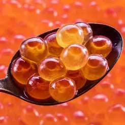 trung-ca-hoi-nhat-ban-an-sashimi-4.jpg