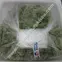 Rong-Bien-Tuoi-Tron-Gia-Vi-Nhat-Ban-7.jpg