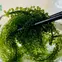 Rong-nho-tach-nuoc-1.jpg