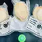 Bao-ngu-vien-xanh-size-23-con-3.jpg
