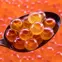 trung-ca-hoi-nhat-ban-an-sashimi-4.jpg