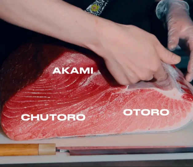 Otoro-Chutoro-Akami-1.jpg